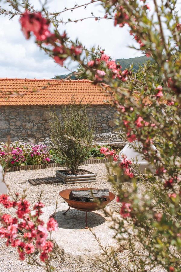 Vila Praia de Âncora Quintal Country Houses מראה חיצוני תמונה